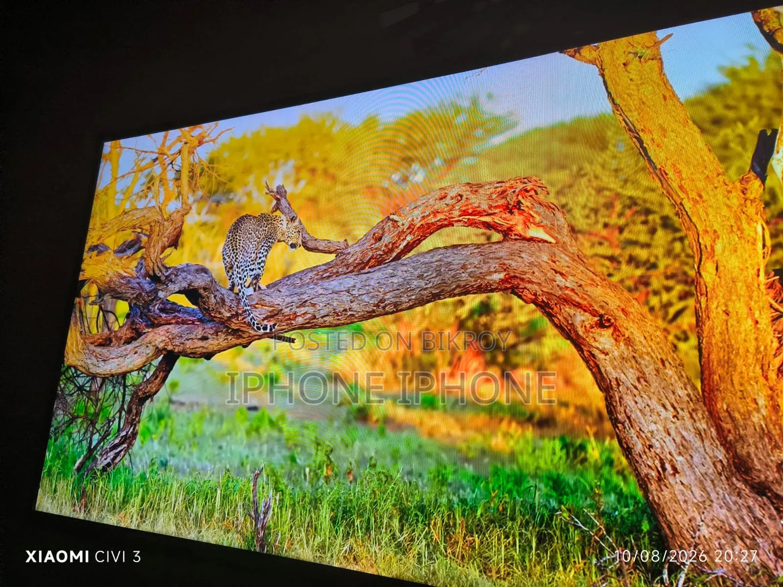 LG TV 43 Inci 4k