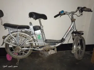 Electric Cycle