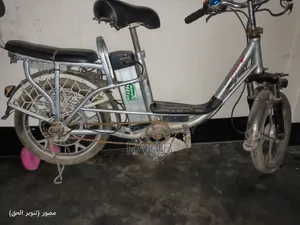 Electric Cycle