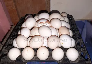 দেশি মুরগির ডিম