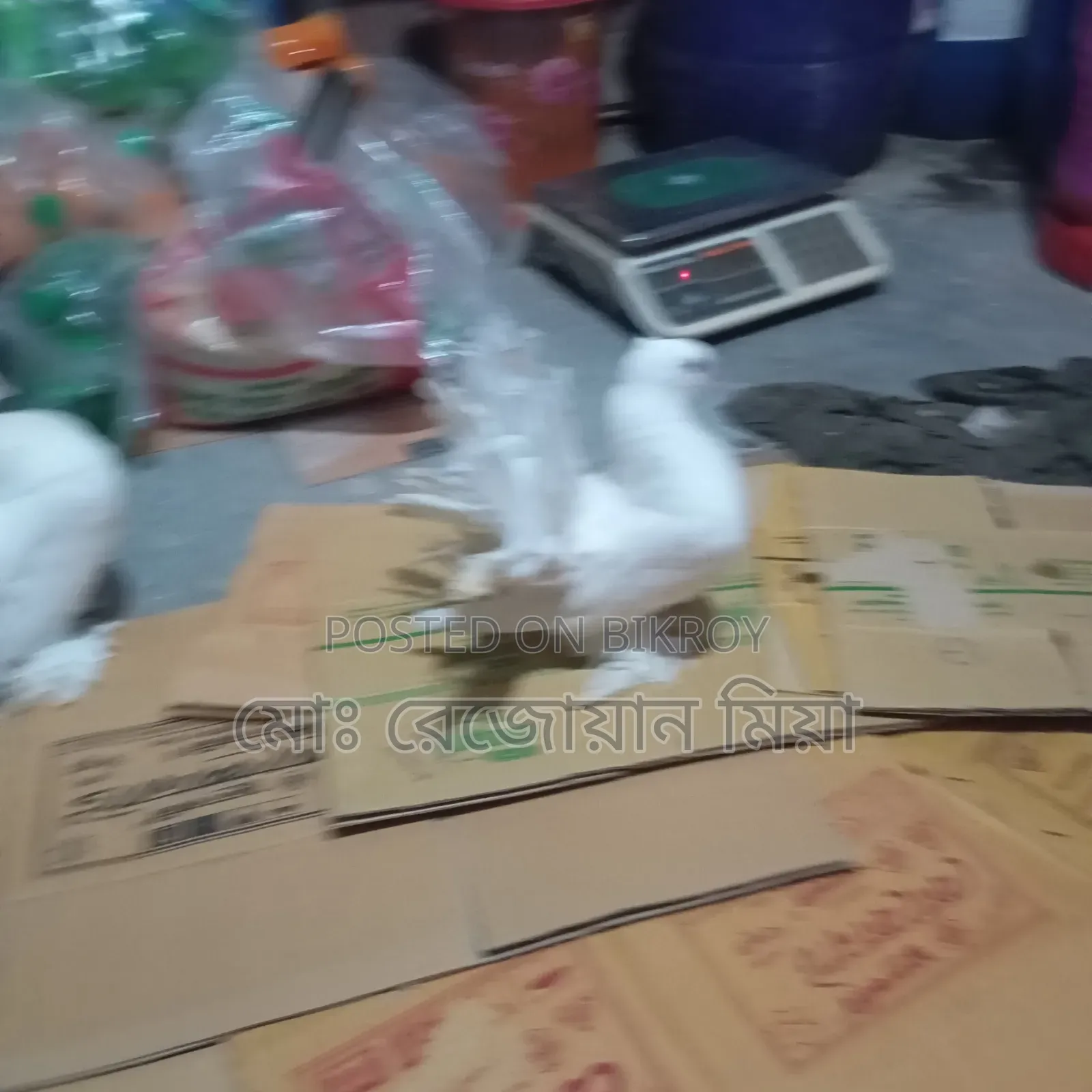 লক্ষা রানিং জোড়া সেল হবে