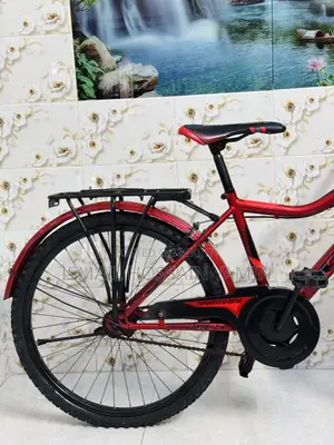 ব্যবহৃত সাইকেল দেখতে নতুনের মত