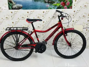 ব্যবহৃত সাইকেল দেখতে নতুনের মত