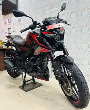 বাজাজ পালসার ২৫০ ২০২৬ কালো