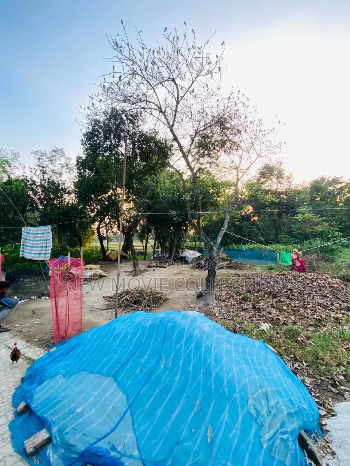 ৩০ কাটা জমি বিক্রি