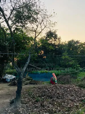 ৩০ কাটা জমি বিক্রি