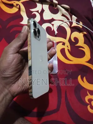 অ্যাপল আইফোন ১২ প্রো ম্যাক্স ২৫৬ জিবি রোজ গোল্ড