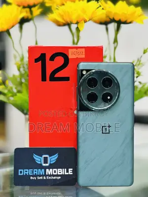 OnePlus 12 512 GB