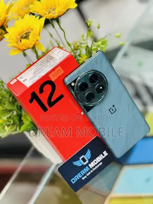 OnePlus 12 512 GB