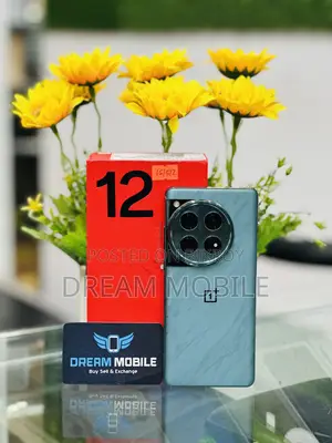 OnePlus 12 512 GB