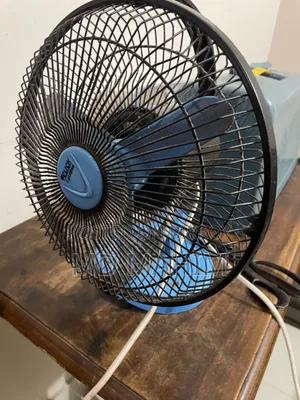 ক্যাবল ফ্যানস