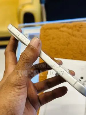 অ্যাপল আইফোন ১৭ প্রো ম্যাক্স ২৫৬ জিবি সিলভার