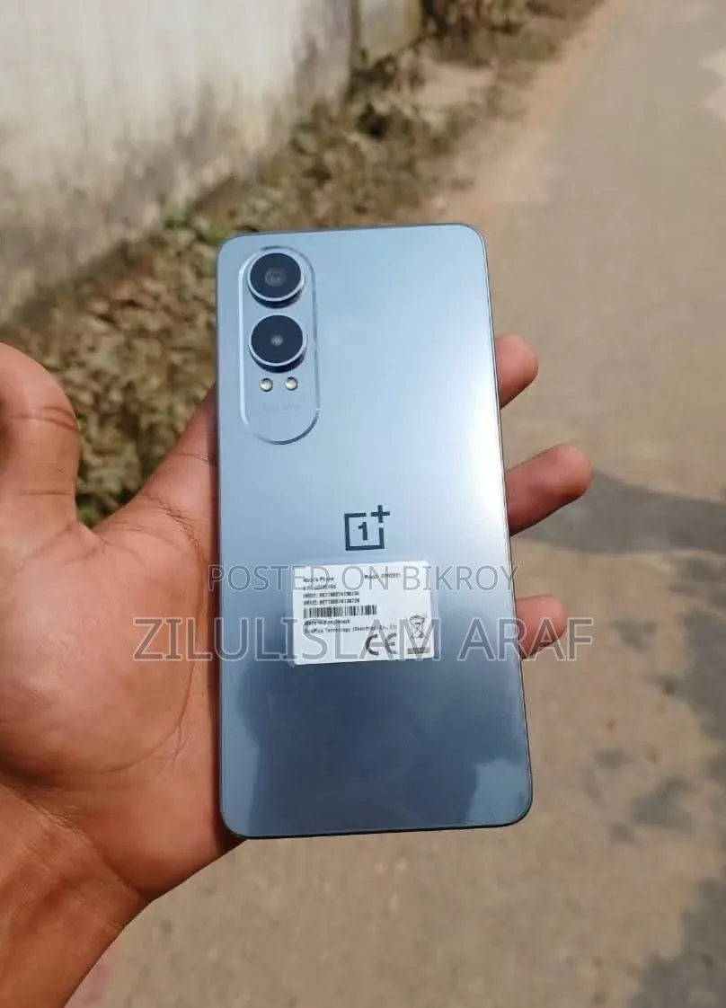 OnePlus 256 GB Silver