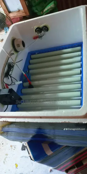 অটো ইনকিউবেটর