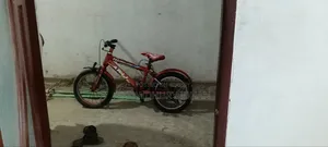 ব্যাসিসাইকেল, বয়েজ সাইকেল