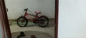 ব্যাসিসাইকেল, বয়েজ সাইকেল