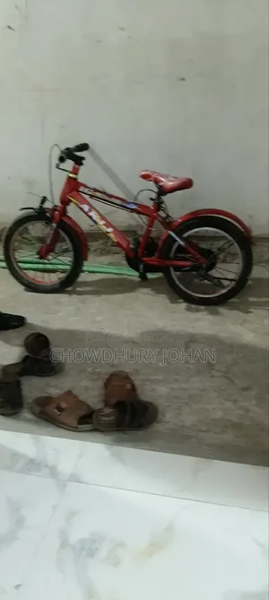 ব্যাসিসাইকেল, বয়েজ সাইকেল