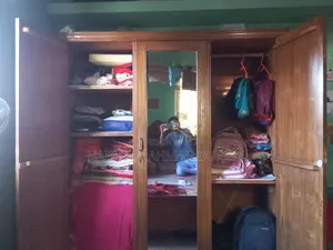 অরিজিনাল বার্মাটিক সেগুন কাঠের আলমারি