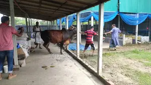 গাজীপুর সালনায় ভাড়া দেওয়ার জন্য গোডাউন
