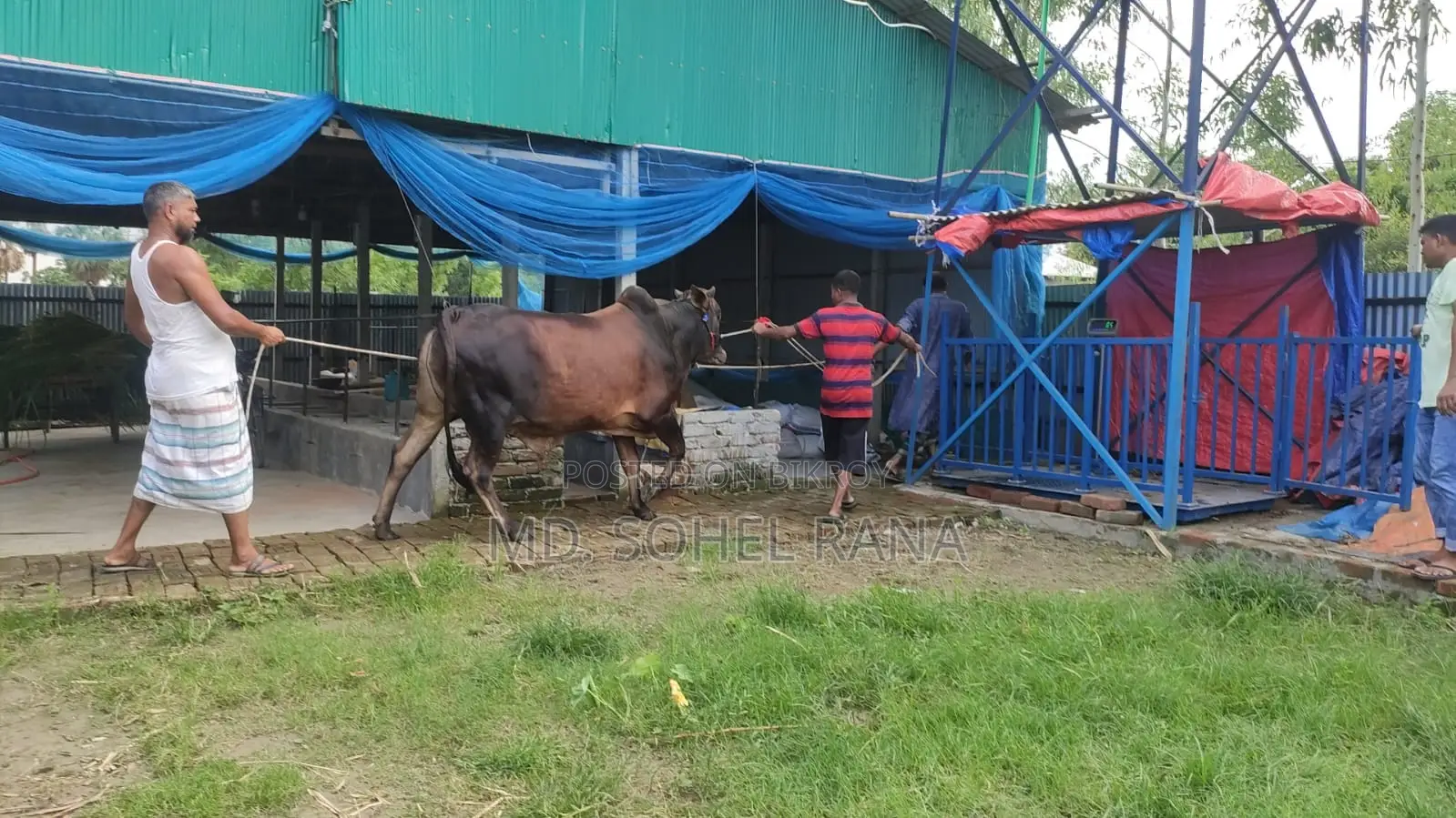 গাজীপুর সালনায় ভাড়া দেওয়ার জন্য গোডাউন