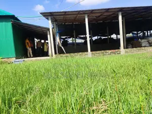 গাজীপুর সালনায় ভাড়া দেওয়ার জন্য গোডাউন