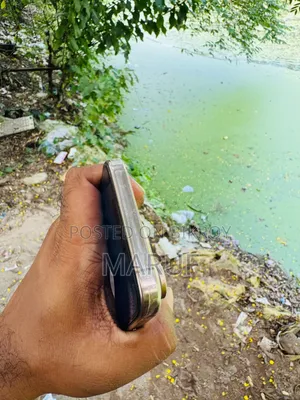 Apple iPhone 16 Pro Max 256 GB