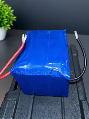 ৫৫ এম্পিয়ার লিথিয়াম ফসফেট ব্যাটারি