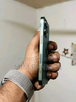 Apple iPhone 13 Pro 256 GB Green