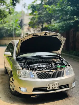 Toyota Corolla 2006 Beige