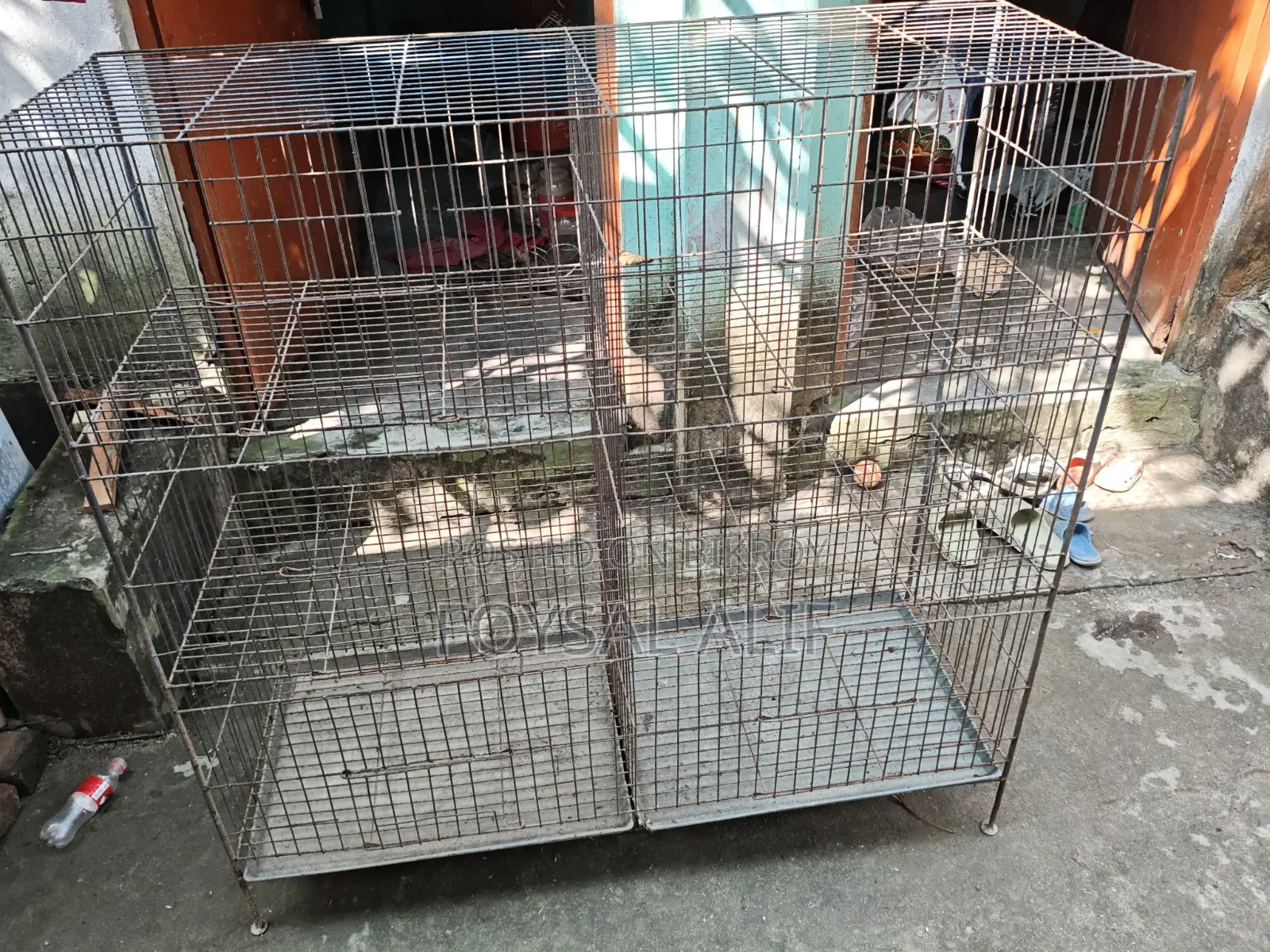 Pigeon Cage 6 Compartments 2 Feet by 18 Inches
