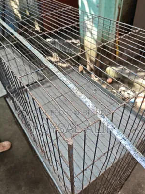 Pigeon Cage 6 Compartments 2 Feet by 18 Inches
