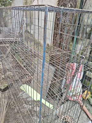 Pigeon Cage 6 Compartments 2 Feet by 18 Inches