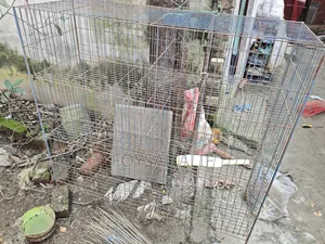 Pigeon Cage 6 Compartments 2 Feet by 18 Inches