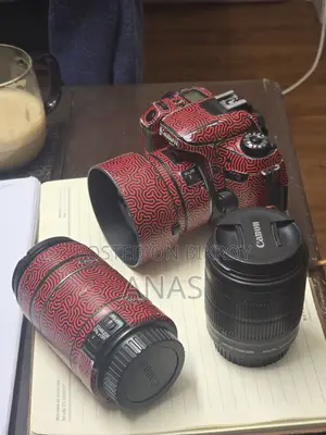 Canon 77d + Lenses