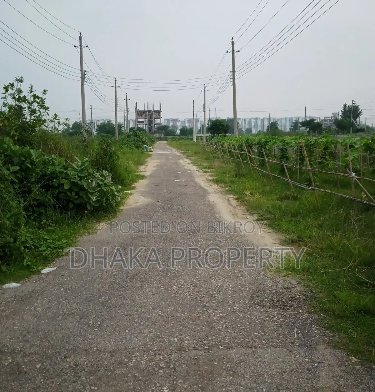 সেক্টর-১৬/সি-তে ৩৪ ফুট রাস্তা সংলগ্ন ৫ কাঠার উত্তরমুখী প্লট