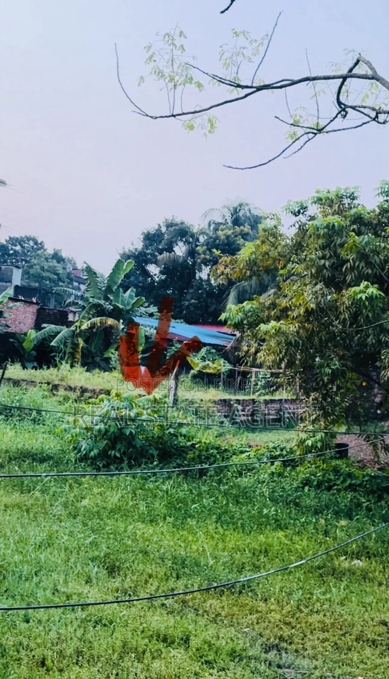 খালি দেড় গন্ডা জায়গা পাচ্ছেন মাত্র ৫০ লক্ষ টাকায়