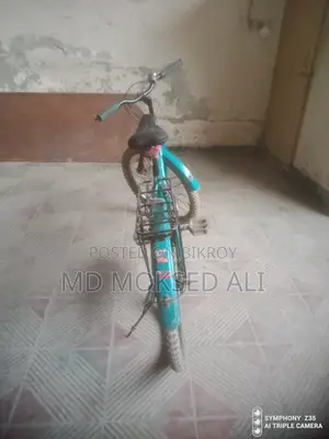বাইসাইকেলটি বিক্রি করবো- মেঘনা কোম্পানীর তৈরি
