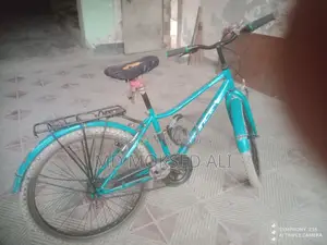বাইসাইকেলটি বিক্রি করবো- মেঘনা কোম্পানীর তৈরি