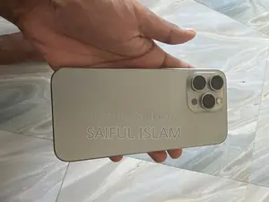 Apple iPhone 15 Pro Max 256 GB Silver