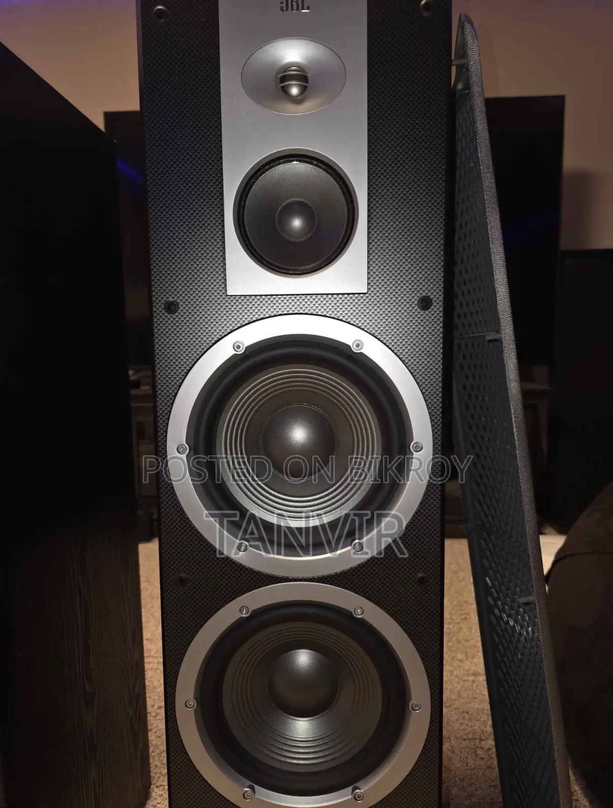 JBL Venue Stadium Dual 8" Speakers