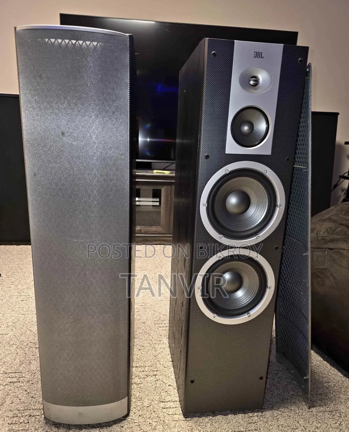 JBL Venue Stadium Dual 8" Speakers