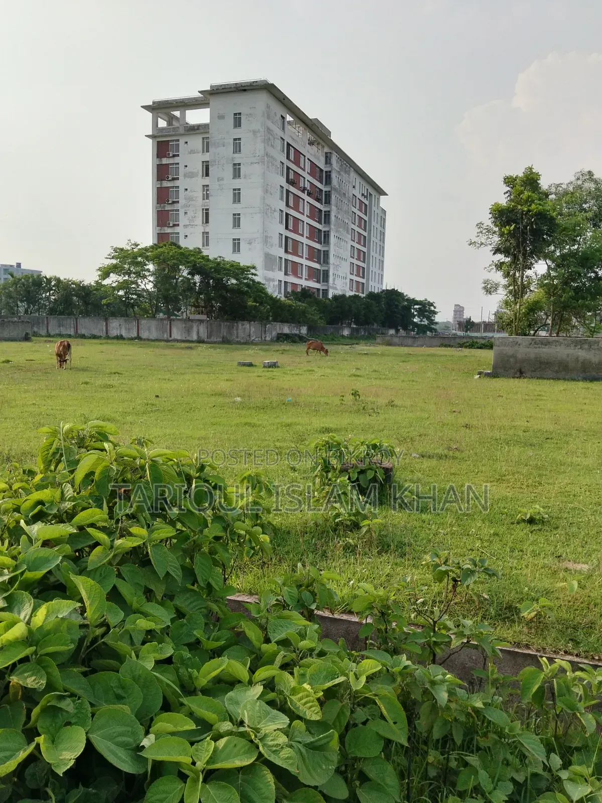 প্লট বিক্রি হবে - জরুরী