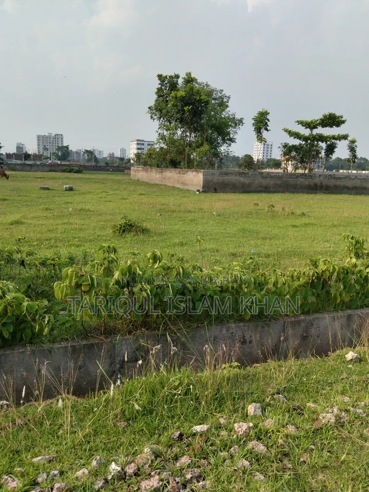 প্লট বিক্রি হবে - জরুরী
