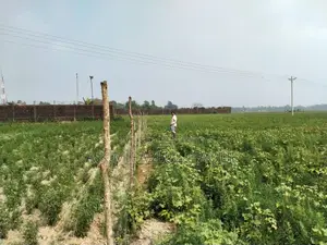 মীরসরাই অর্থনৈতিক অঞ্চলে জমি বিক্রি। জমির পরিমাণ- ২১২ শতক।