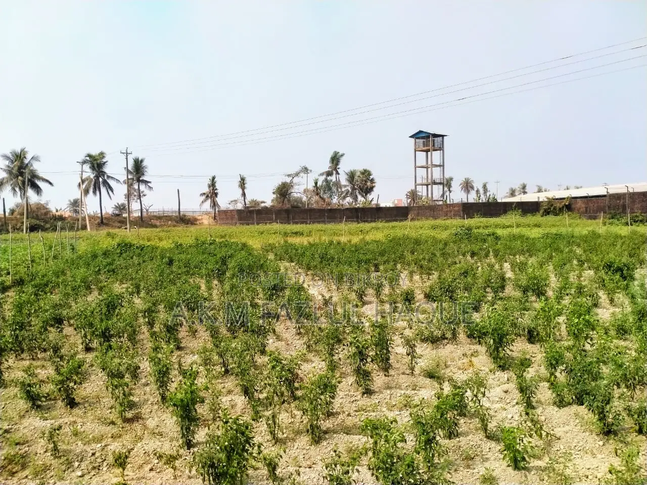 মীরসরাই অর্থনৈতিক অঞ্চলে জমি বিক্রি। জমির পরিমাণ- ২১২ শতক।