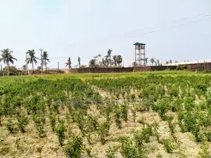 মীরসরাই অর্থনৈতিক অঞ্চলে জমি বিক্রি। জমির পরিমাণ- ২১২ শতক।