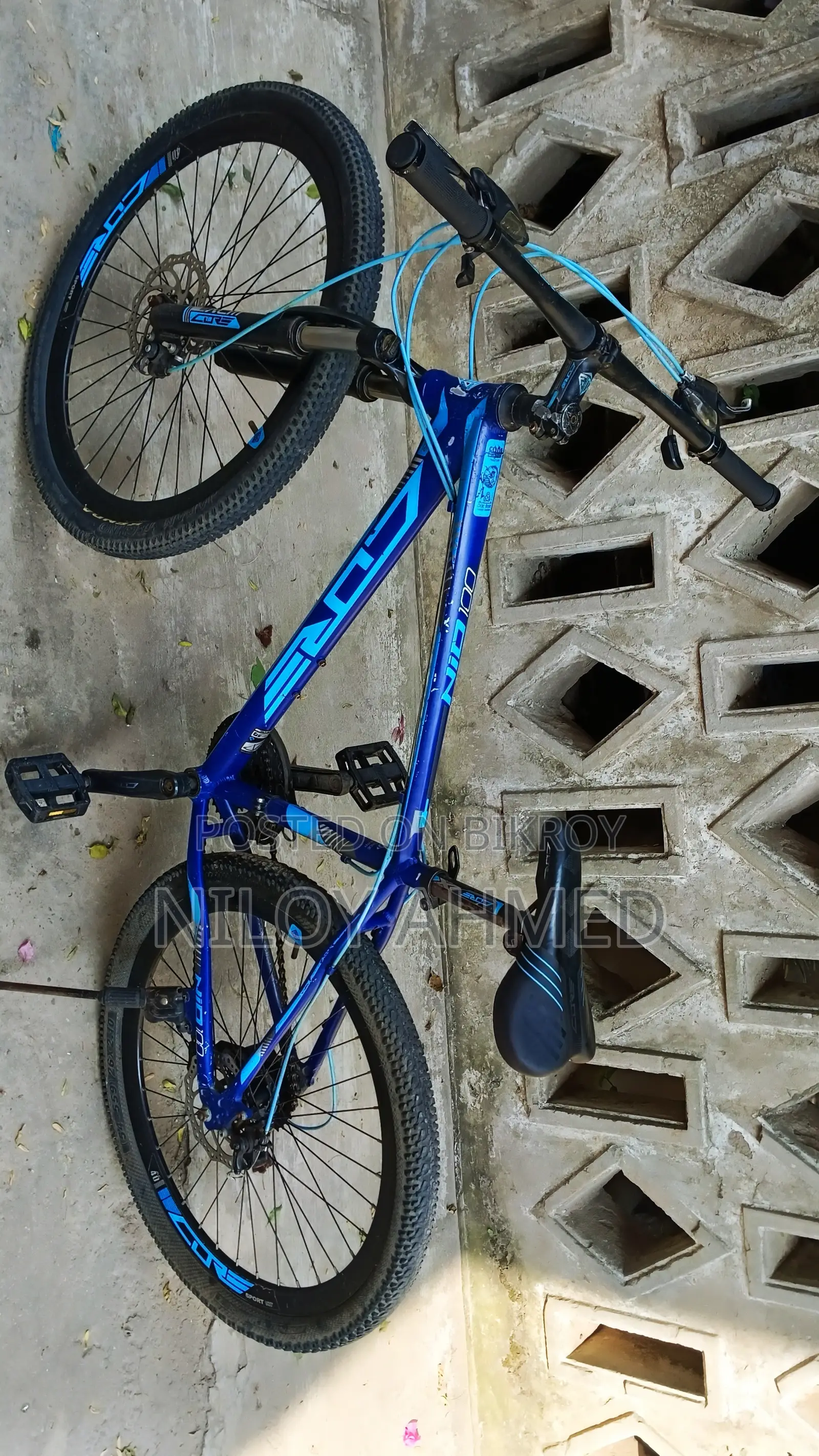 কোর নিও ১০০