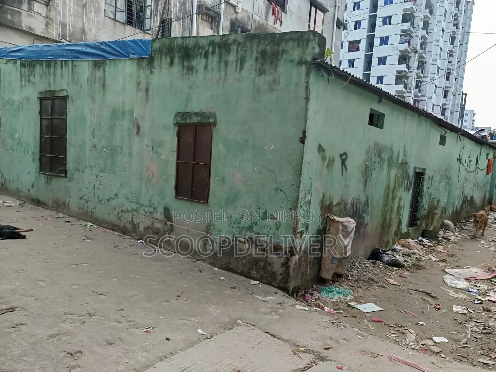 Tin-shed house for sale with 2 kathas of land and 2 double Titas gas connections