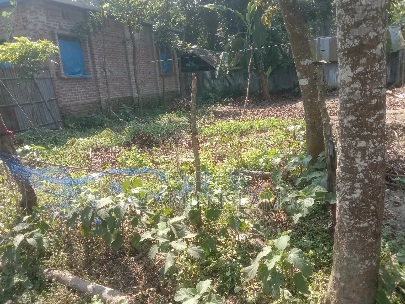 জমি বিক্রি