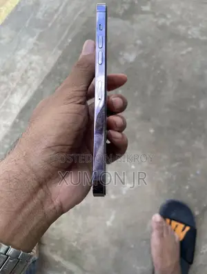 অ্যাপল আইফোন ১৪ প্রো ম্যাক্স ২৫৬ জিবি পিংক